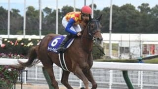 【平安S枠順確定】テーオーケインズは2枠4番、オーヴェルニュは1枠2番