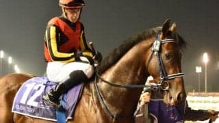 【安田記念想定】シュネルマイスターはC.ルメール騎手、カフェファラオは福永祐一騎手