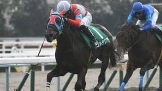 【次走】2020年きさらぎ賞覇者コルテジアが2年ぶりに復帰　鳴尾記念またはエプソムCを予定