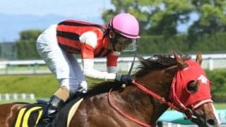 【葵S想定】ウインマーベルは松山弘平騎手、コラリンは池添謙一騎手