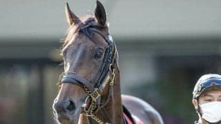 【目黒記念想定】ウインキートスは松岡正海騎手、シルヴァーソニックは川田将雅騎手