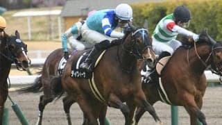 【次走】ディヴィーナは関屋記念へ　母はGI・2勝のヴィルシーナ