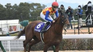 【今日の注目ポイント】中京メイン・平安Sでテーオーケインズが始動