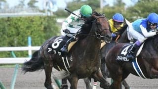 【次走】都大路Sで5着のアラタは函館記念へ　
