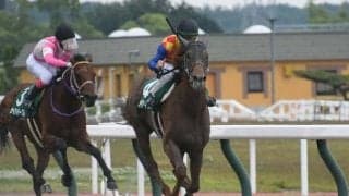 【平安S結果】サウジ帰りのテーオーケインズが人気に応え2馬身半差完勝