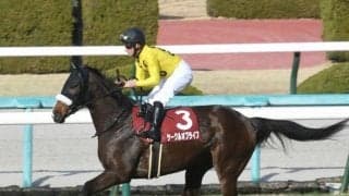 【オークス前日オッズ】サークルオブライフが4.0倍で1番人気