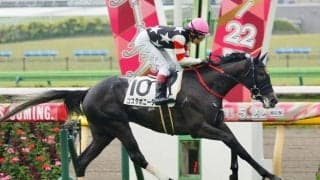 【東京6R】イスラボニータ産駒 コスタボニータが快勝