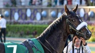 【オークス予想】距離が延びてよさそうな血統背景、初の2400mもこなせそうな底力に期待