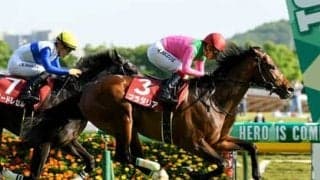 2400ｍ戦の実績はピカイチ。「追えば追うほど伸びる」プラダリアは世代の頂点に立てるか