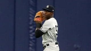 フェンス際で空中キャッチ＆顔面強打　体張った超美技は「なかなか強烈に激突」