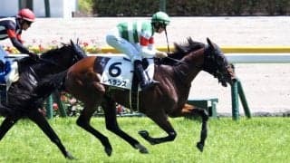 【東京7R】レベランスが2勝目 勝ちタイムは2分27秒3