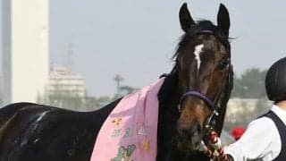 【オークス】スターズオンアースが差し切り牝馬クラシック二冠達成！