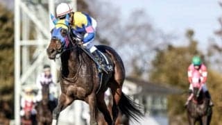 【オークス】サウンドビバーチェの除外について スタート地点で放馬のアクシデント