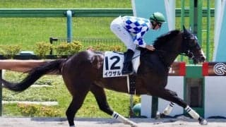 【東京5R】イグザルトが5馬身差圧勝