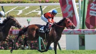 【調布特別】アールバロンが逃げ切りV！トゥルーヴィルは大外へ逸走