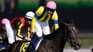 WIN5は1605票的中と堅調