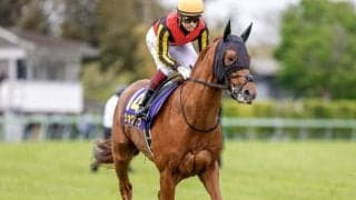 全ホースマンが目指す舞台・日本ダービー/今週の競馬界の見どころ