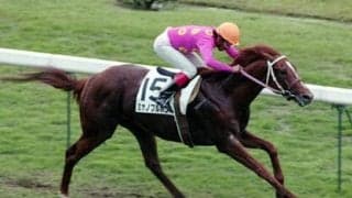 ウマ娘ではサイボーグ。ミホノブルボンは日本ダービーで圧倒的な強さを誇っていた