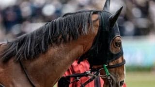 【日本ダービー 注目馬(3)】良血馬アスクビクターモア 安定感と堅実さを武器に世代の頂点へ