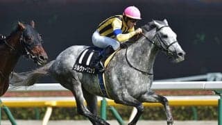 【目黒記念想定騎手】シルヴァーソニックは川田将雅騎手、アリストテレスは武豊騎手