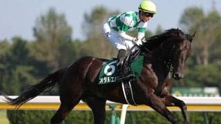 【葵S想定騎手】オタルエバーは幸英明騎手、アネゴハダは吉田隼人騎手