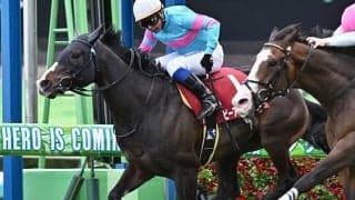 【AI予想・日本ダービー】展開次第で大波乱!? 人工知能が予知するのは「あの馬」の逃げ切りか