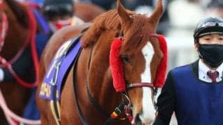 【先週のJRA抹消馬】砂の古豪ウェスタールンド、仏二冠牝馬の娘デゼル、GI馬の半妹グランパラディーゾなど