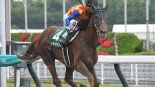 帝王賞での楽しみが広がったテーオーケインズの完勝劇