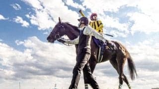 日本で枝葉を広げる名牝スタセリタのファミリー