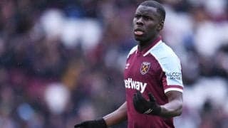 飼い猫虐待容疑で起訴中のウェストハムDF、4000万円の罰金…明日が公聴会