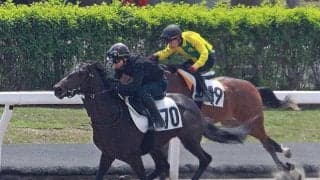 トレーニングセールの公開調教が行われる