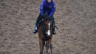 デューデットなど、先週のゲート試験/栗東トレセンニュース