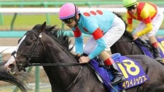 【日本ダービー予想オッズ】イクイノックスが予想1番人気