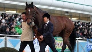 【海外競馬】豪G1・3連勝のヒトツが左前脚繋靭帯損傷により年内全休　父は2015年JRA年度代表馬モーリス