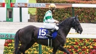 【葵S予想オッズ】オタルエバーが予想1番人気