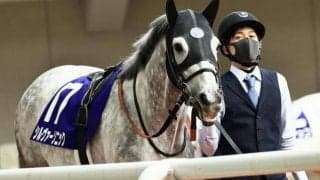 【目黒記念予想オッズ】シルヴァーソニックが予想1番人気