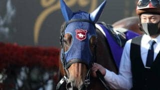 【地方競馬】大井のモジアナフレイバーが引退　大井記念など重賞4勝、DG競走でも活躍