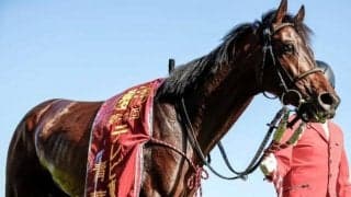 【日本ダービー展望】競馬の祭典、あのディープインパクト産駒に期待したい