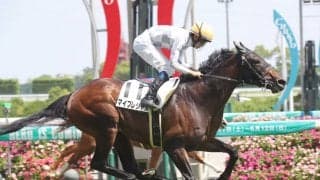 【中京8R】約1年ぶり出走 マイプレシャスが快勝