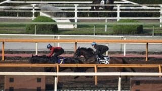 ジェラルディーナ、鳴尾記念1週前追い切り速報/栗東トレセンニュース