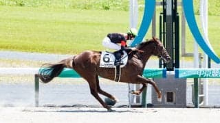 【中京6R】ハーツアズワンが4馬身差で完勝