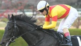【日本ダービー 注目馬(10)】ジャスティンパレス距離延長で巻き返す　鞍上は三度目のダービー制覇へ