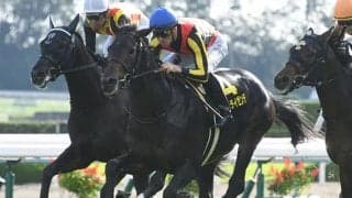 【鳴尾記念想定】昨年1月以来の出走となるヴェルトライゼンデ、昨年金鯱賞覇者ギベオンなど