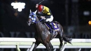 【大井記念結果】浦和のランリョウオーが押し切って重賞2勝目