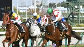 【目黒記念展望】差し追い込み馬の台頭が期待できるレース