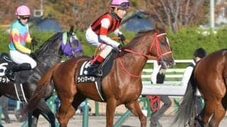 【葵S出走馬・騎手確定】ウインマーベル＆松山弘平騎手、コラリン＆池添謙一騎手など18頭