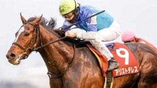 【目黒記念出走馬・騎手確定】アリストテレス＆武豊騎手、マカオンドール＆松山弘平騎手など18頭