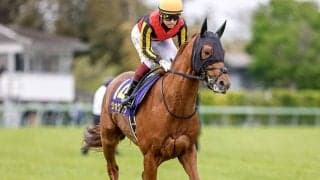 【日本ダービー 調教後馬体重】ジオグリフは498kg、イクイノックスは486kg