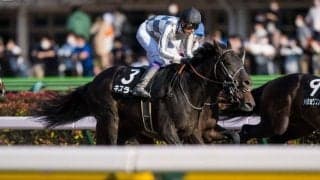 キスラーが骨折