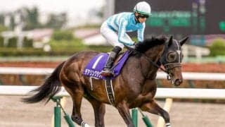 【次走】デアリングタクトは宝塚記念へ「検査も問題なかったので」